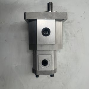 Bomba de Engranajes Hidráulica Doble HANSEN CBQL-F550-F410CLHR |   Fábrica de Maquinaria de Perforación en China - Product Image 2