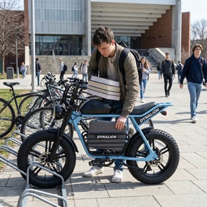 Vélo électrique compact rétro à gros pneus avec batterie au lithium 48V 16Ah et écran LCD, Vélo de croisière à assistance au pédalage pour les trajets quotidiens sur le campus - Product Image 4