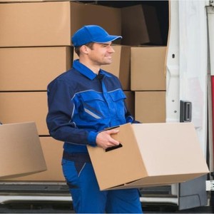 Servizio di Immigrazione e Trasloco, Spedizione Espressa LCL Porta a Porta, Imballaggio, Origine Cina - Product Image 1