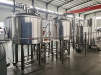 Système de fermentation 300L 500L 800L 5HL, brasserie, pub, projet clé en main, bière, équipement de brassage