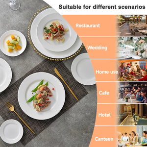 Fabricantes de platos de cerámica, platos de cena blancos de cerámica a granel personalizados, platos de restaurante de porcelana con logotipo en el mercado - Product Image 5