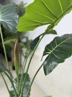 Plante artificielle de caladium vert style nordique, écologique, haute simulation, décoration intérieure, plante en pot pour fenêtre, 130-230 cm