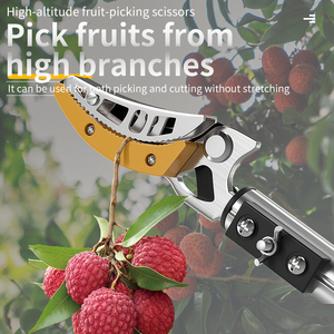 <span class=keywords><strong>Ciseaux</strong></span> de cueillette de fruits et sécateurs à perche - Tête en acier SK5, conception ergonomique pour le jardinage professionnel - Product Image 1