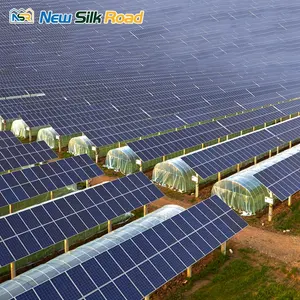 Estufas agrícolas fotovoltaicas de dupla camada solar baratas para venda em túnel de filme solar de extensão única na China