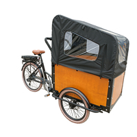 Vélo électrique à trois roues pour adultes, 250W 36V, fabriqué en Chine, avec de grands sièges passager, 20 pouces, vente chaude