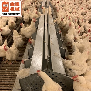 Automatic Chicken Egg Collector Roll Out Chicken <strong>Nest</strong> Egg Collector Chicken <strong>Nesting</strong> <strong>Box</strong> with Automatic Eggs Collector - Product Image 5