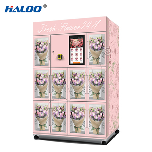 ตู้จำหน่ายสินค้าอัตโนมัติ Haloo ปรับแต่งโลโก้ สำหรับใช้งานกลางแจ้ง เหมาะสำหรับร้านดอกไม้สด - Product Image 5