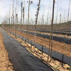 Chine Usine Vente Directe PP Tissu Tissé Jardinage Paysage/Tapis de Contrôle des Mauvaises Herbes <span class=keywords><strong>Géotextile</strong></span> Tissu/<span class=keywords><strong>Anti</strong></span> <span class=keywords><strong>Herbe</strong></span> Mauvaises Herbes - Product Image 6