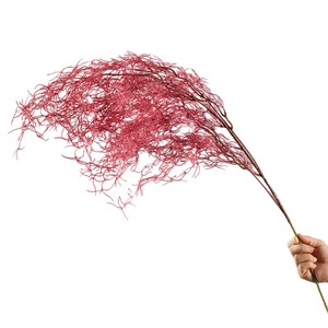Ramo de flores preservadas de aspargosa artificial Greenway, color rojo, para decoración del hogar y diseño de interiores - Product Image 5