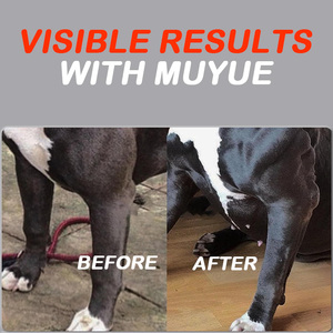 Supplément de protéine en poudre OEM pour chien favorise la récupération, l'entraînement, l'exercice et le gain musculaire <span class=keywords><strong>Bully</strong></span> Boost Supplément pour chiens - Product Image 6