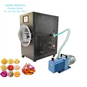 6kg 8kg 10kg small freeze dryer food and fruit dryer lyophilizer machine hot sale Thailand In Stock