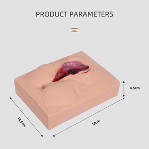 หุ่นจำลองฝึกซ้อมการผ่าตัดเย็บแผลบริเวณรังไข่แบบมืออาชีพ DARHMMY ความเหมือนจริงสูง - Product Image 3