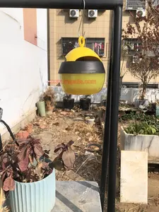 Señuelo de jugo de jardín popular al aire libre trampa de avispas de control de insectos de plástico con colador