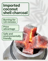 Charbon à chicha premium fabriqué à partir de charbon de coque de noix de coco activé, haute densité, longue durée de combustion pour usage commercial