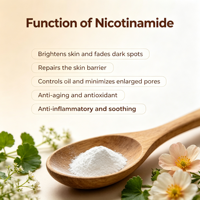 Pasokan Pabrik 99% Niacinamide Vitamin B3 Bubuk Niacinamide Vitamin B3e Bubuk untuk Perawatan Kulit