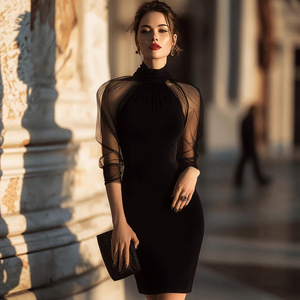 Vestido Elegante de Manga Larga con Cuello Alto y Malla Transparente, Estilo Europeo y Estadounidense, Nueva Moda Transfronteriza - Product Image 2