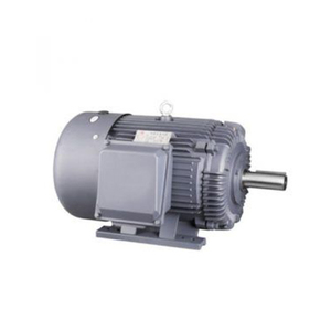 Moteur asynchrone triphasé série YEJ2 208-230/240V IP44/IP54/IP55 - Product Image 5