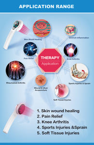 Kalt laser Katzen Hunde therapie Arthrose Degenerative Gelenk krankheit Rehabilitation gerät für Haustiere Gesundheits wesen - Product Image 6