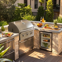 Luxe robuste haut de gamme intégré 2B 3B 4B 5B 6B SUS Propane acier inoxydable maison extérieure jardin arrière-cour gaz GPL NG barbecue