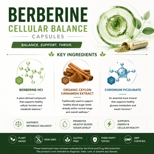 Capsules de Berbérine à Haute Compatibilité, Matrice de Phase Lipidique Structurelle, Formulation Cinétique à Libération Avancée, Vente en Gros, Usine OEM - Product Image 2
