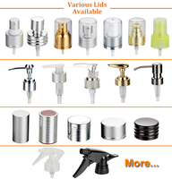 Prix de gros OEM Logo personnalisé jetable bouteille à pompe cosmétique en métal pour les soins de la peau 250/500/750 ml 1kg flacon pulvérisateur en aluminium de couleur