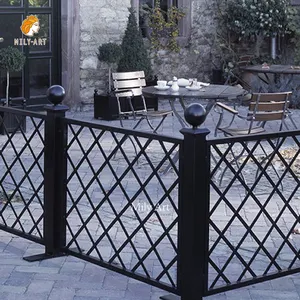 Porte extérieure d'ornements de clôture en fer forgé en métal noir de fleur de jardin à vendre
