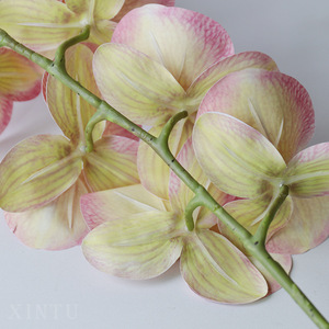 <span class=keywords><strong>ฟิล์ม</strong></span>พิมพ์ลาย3D <span class=keywords><strong>ด</strong></span>อกไม้ประ<span class=keywords><strong>ด</strong></span>ิษฐ์9หัวดอกไม้ประ<span class=keywords><strong>ด</strong></span>ิษฐ์<span class=keywords><strong>ด</strong></span>อกไม้ตกแต่งงานแต่งงานที่บ้านขายตรงโรงงาน - Product Image 4