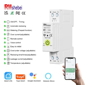 RMshebei 1P + N 63A Interruptor inteligente Disyuntor Temporizador 220V/240V Rail Smart Home Control remoto inalámbrico Protección contra fugas - Product Image 1