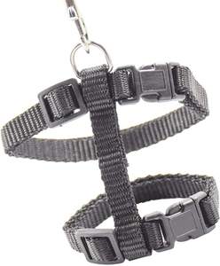 Collier de chat réglable pour chats, ceinture en Nylon, corde de sécurité, laisses lapin chaton Kedi harnais ensemble de laisses - Product Image 3