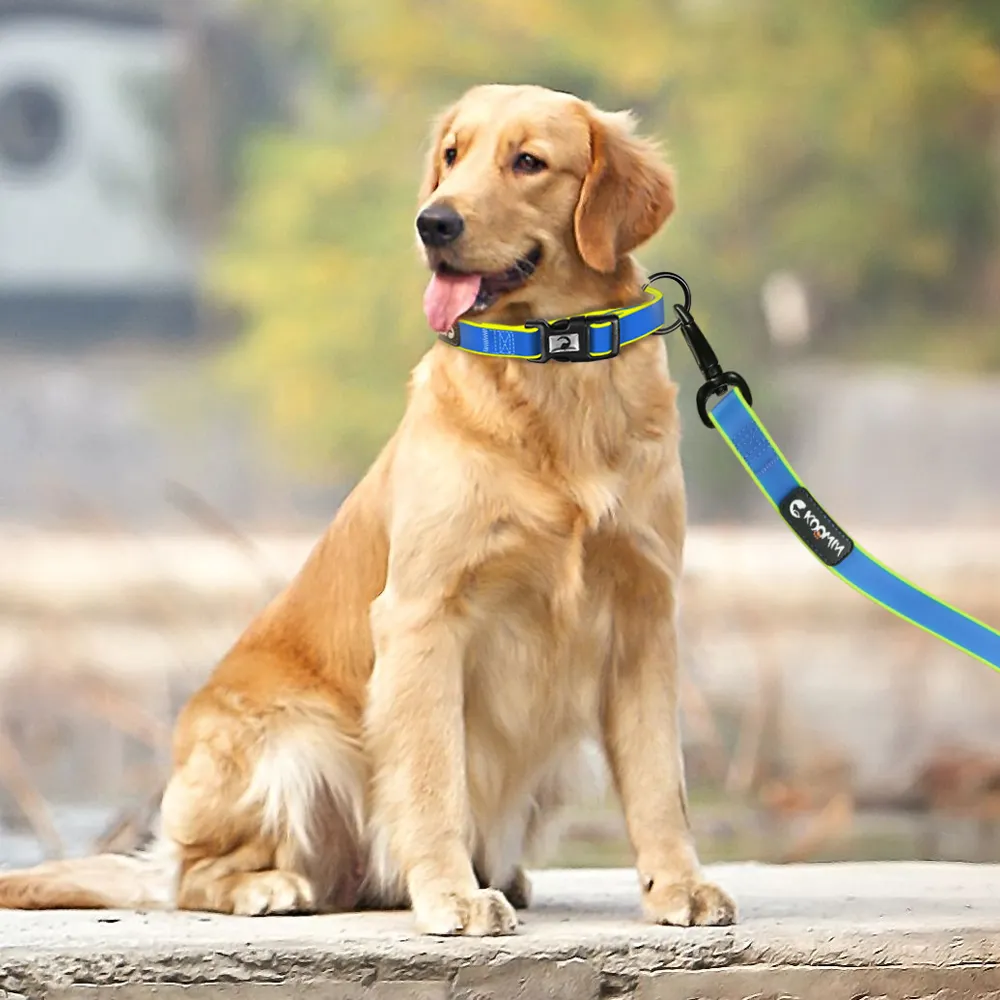 Collier Rechargeable pour chien, fournitures pour animaux de compagnie, meilleure vente 2019