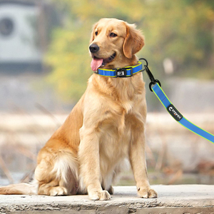 Beste Verkauf Produkte Wiederaufladbare Hund Kragen Haustiere Liefert