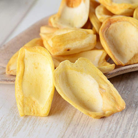 Premium Zoete Knapperige Gefreeze-droogde Jackfruit Chips 100% Natuurlijk Gezonde Snack Bulk Waterconservering