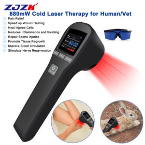 Perangkat Laser LLLT Kelas 3B Dingin Genggam 650nm Alat Medis Veteriner untuk Pereda Nyeri TMJ pada Kuda - Product Image 1