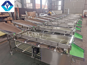 เครื่องคัดแยกส้มแทร็กเครื่องคัดแยกมะเขือเทศวันที่แยกลูกปาล์ม - Product Image 3