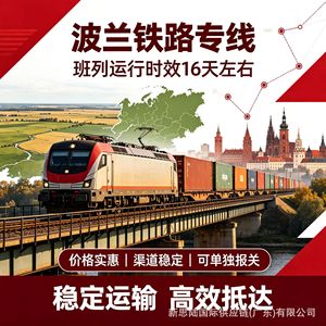 Service de logistique ferroviaire express XSL Pologne, marchandises générales, porte à porte, avec dédouanement et taxes incluses - Product Image 5