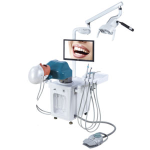 Mecanmed Dentiste Formation Enseignement Simulateur Médical Simulateur Dentaire Tête Fantôme Simulateur Dentaire - Product Image 4