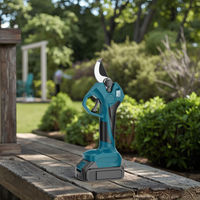 Ciseaux électriques de haute qualité Rechargeable puissant jardin arbre fruitier sécateur et ciseaux artefact pour l'élagage des branches