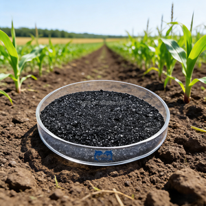 Fertilizante Orgánico Leonardita, Fuente Mineral de Ácido Húmico, Potasio Soluble, Humato Soluble en Polvo, Fulvato en Escamas, K Orgánico, F, Potasio - Product Image 1