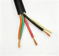 Câble en caoutchouc PE CPE SJOOW/SOOW 2x18AWG 300/600V pour éclairage industriel extérieur, pelouse, jardin, aménagement paysager, éclairage mobile