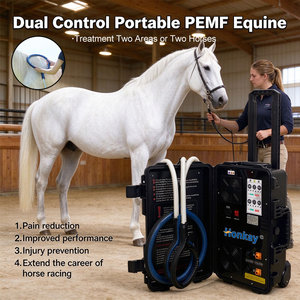 Appareils de thérapie PEMF avec formation gratuite, améliorent la flexibilité, machine PEMF portable à boucle papillon pour centre équestre - Product Image 1