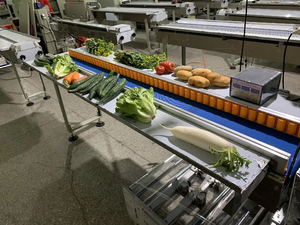 Emballage automatique machine d'emballage horizontale de concombre laitue poireau légumes automatique - Product Image 2