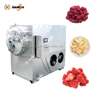 LONKIA из нержавеющей стали клубника вакуумная сублимационная сушилка промышленная сублимационная сушилка для сублимационной сушки корма для домашних животных фрукты овощи - Product Image 5