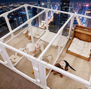 Valla para Perros y Conejos, Valla para Mascotas de ABS, Alta Permeabilidad, Transparente, Engrosada, Anti-caídas, Personalizable para Interiores/Exteriores - Product Image 5