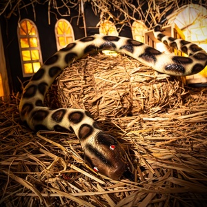 Nuevo Adorno Decorativo de Látex de Halloween: Serpiente, Cadena de Pie Roto, Araña, Muñeco Fantasma - Product Image 6