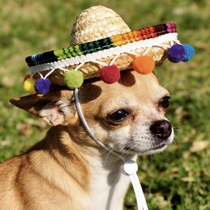 Sombrero <span class=keywords><strong>de</strong></span> Paja para Mascotas Pafu Carnival, con Bolas Coloridas y Diseño <span class=keywords><strong>de</strong></span> Cordón Ajustable, Ideal para Halloween, Cumpleaños, Playa y Fotos - Product Image 1