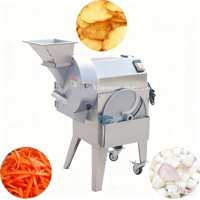 Goedkope gemotoriseerde industriële snijmachine voor fruit en groenten, SUS304 roestvrij staal, voor snijden en in blokjes snijden