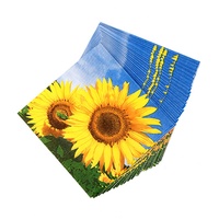 Tovaglioli di Carta a 2 Veli con Motivi Floreali per Decoupage, Personalizzabili per Matrimoni e Feste, Certificati FSC, Ecologici