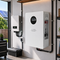 Batería LiFePO4 de 51.2V 100Ah 5KWh para Montaje en Pared con BMS de Protección Múltiple Integrado para Almacenamiento de Energía Solar Fuera de la Red para el Hogar