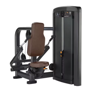 Équipement de fitness commercial <span class=keywords><strong>pour</strong></span> salle de sport, machine à <span class=keywords><strong>triceps</strong></span> <span class=keywords><strong>pour</strong></span> l'entraînement des bras, entraînement musculaire, presse à <span class=keywords><strong>triceps</strong></span> <span class=keywords><strong>pour</strong></span> la musculation - Product Image 2