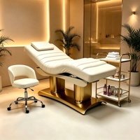 Lit de massage électrique réglable pour SPA, rééducation, nouveau style, lit de tatouage, lit de beauté pour salon de beauté